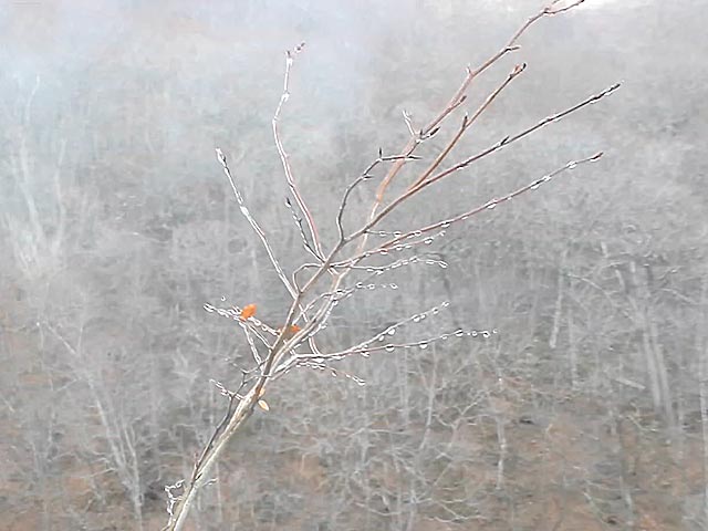 着氷影響実験