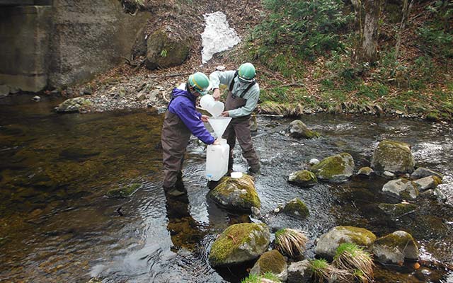 河川水サンプリング