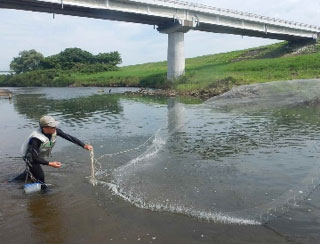 魚類調査